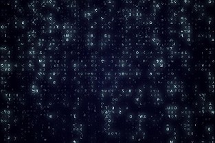 康都 房子漏水怎么办
